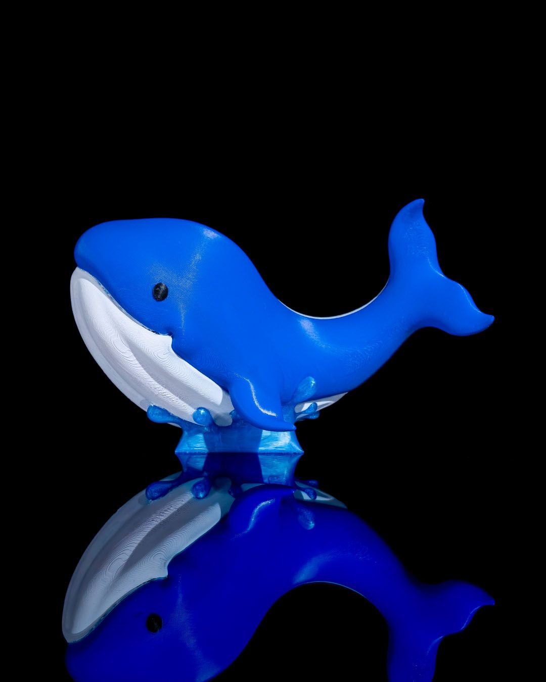 Baby Whale