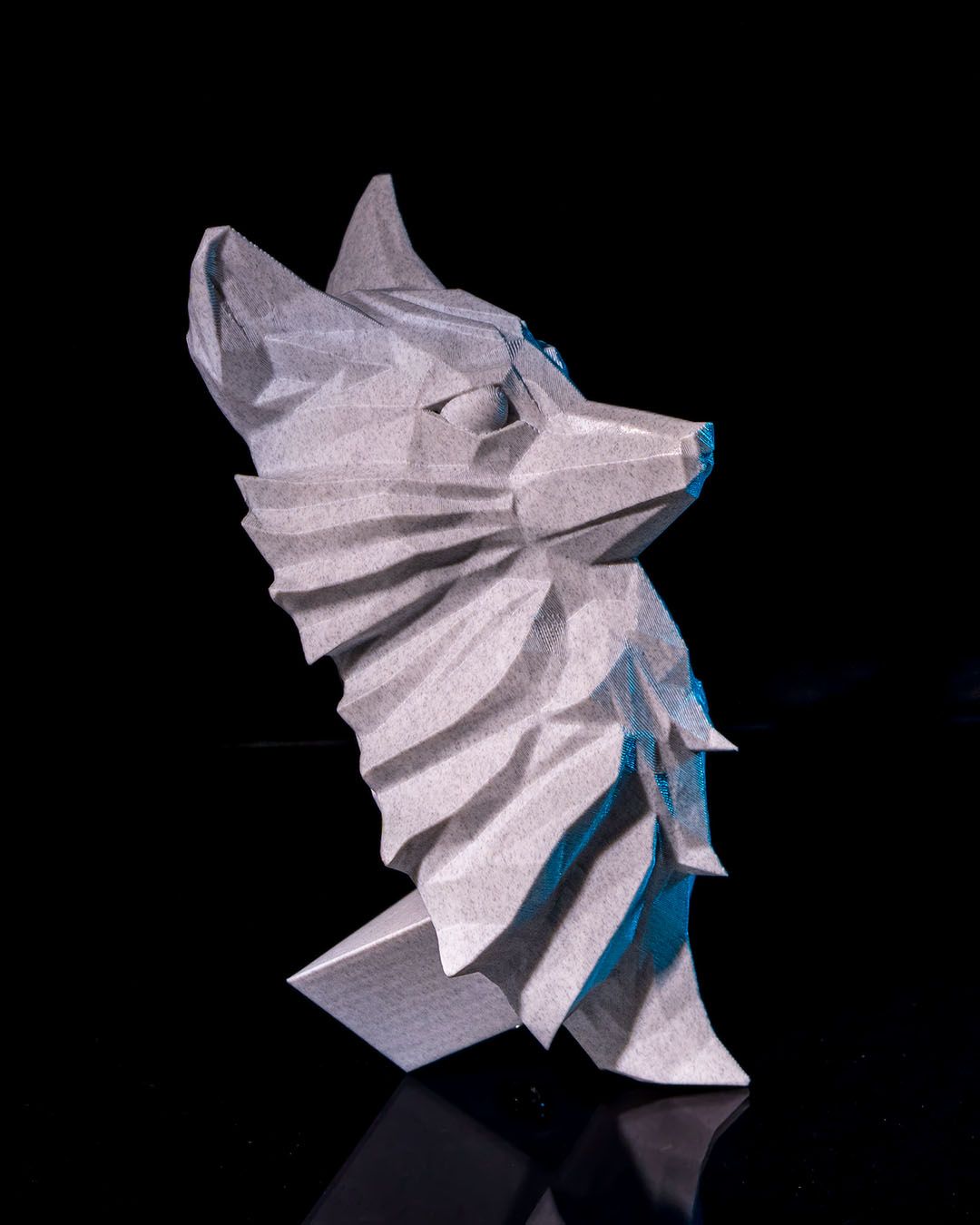 The Nine-Tailed Fox